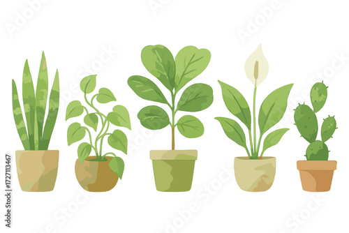 Indoor plant collection creating a vibrant atmosphere in a cozy space with various green vegetation