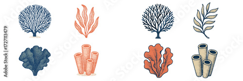 Colorful coral and seaweed illustrations showcasing marine life diversity in a creative design
