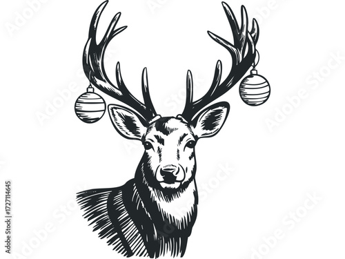 Reindeer with Holiday Ornaments on Antlers. Vector hand drawn illustration