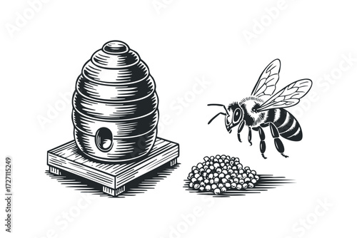 Beehive with bee and honeycomb pieces graphic. Vector hand drawn illustration