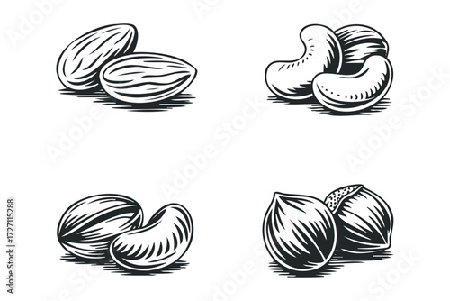 Four Nut Varieties Line Art. Vector hand drawn illustration
