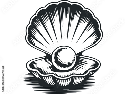 Opened Seashell with Pearl. Vector hand drawn illustration