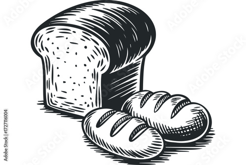 Line art image of fresh baked bread loaves. Vector hand drawn illustration