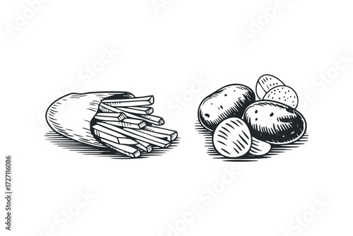 Hand Drawn French Fries and Potatoes illustration. Vector hand drawn illustration