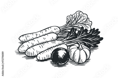 Woodcut Style Carrots Beet Greens and Pumpkin. Vector hand drawn illustration