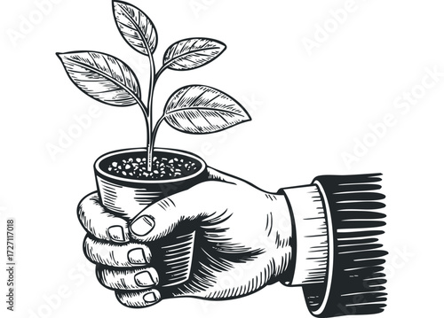 Hand holding small potted plant with new growth. Vector hand drawn illustration