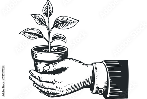 Hand holding potted plant. Vector hand drawn illustration