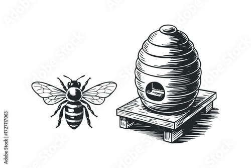 Insect and beehive drawing. Vector hand drawn illustration