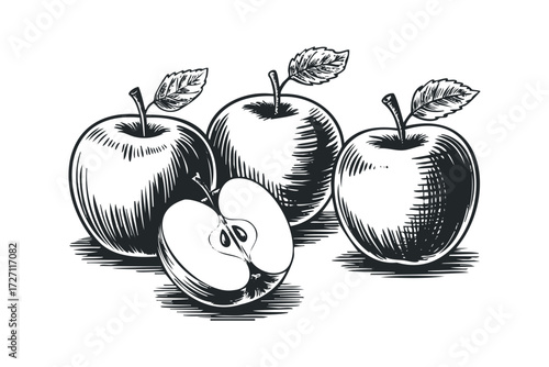Hand Drawn Group of Apples With One Half Cut Open. Vector hand drawn illustration
