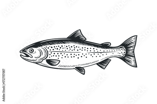 Stylized Speckled Fish Silhouette. Vector hand drawn illustration