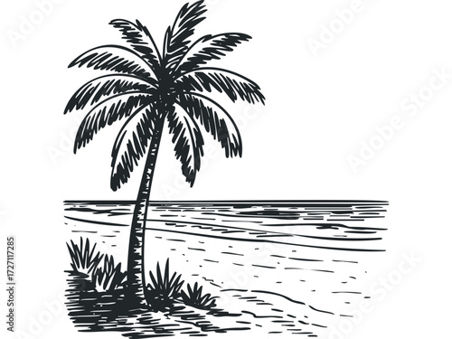 Sketch of a lone palm tree on a sandy shore by the ocean. Vector hand drawn illustration