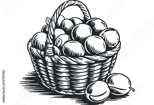 Woven basket overflowing with ripe fruit. Vector hand drawn illustration