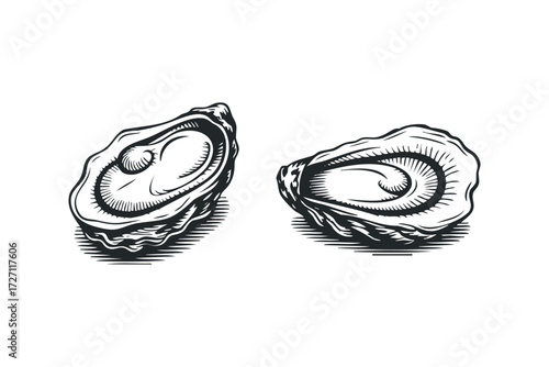 Two opened oysters with dark shading. Vector hand drawn illustration