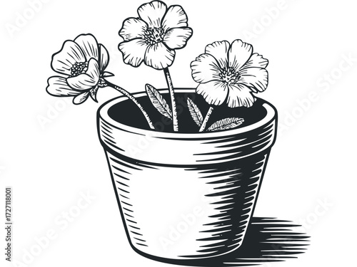 Three delicate flowers in a clay pot. Vector hand drawn illustration