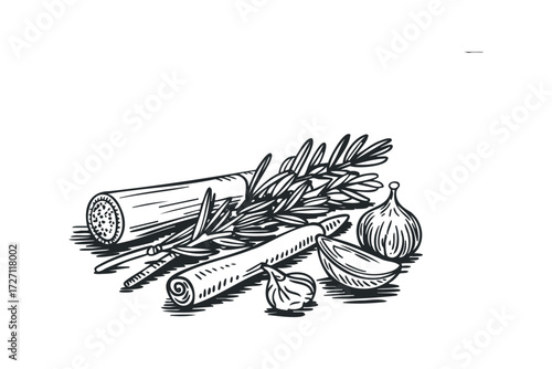 Pencil sketch of fresh herbs and garlic cloves. Vector hand drawn illustration