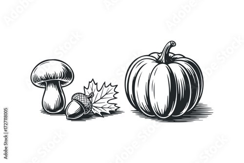 Pumpkin mushroom acorn and leaf arrangement. Vector hand drawn illustration