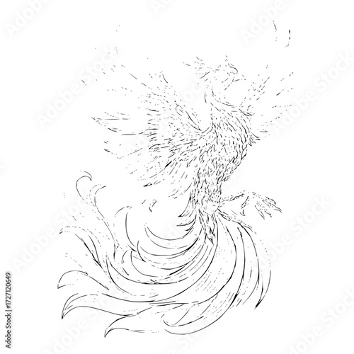 Illustration of a phoenix with detailed feathering and flowing tail feathers in black and white outline style