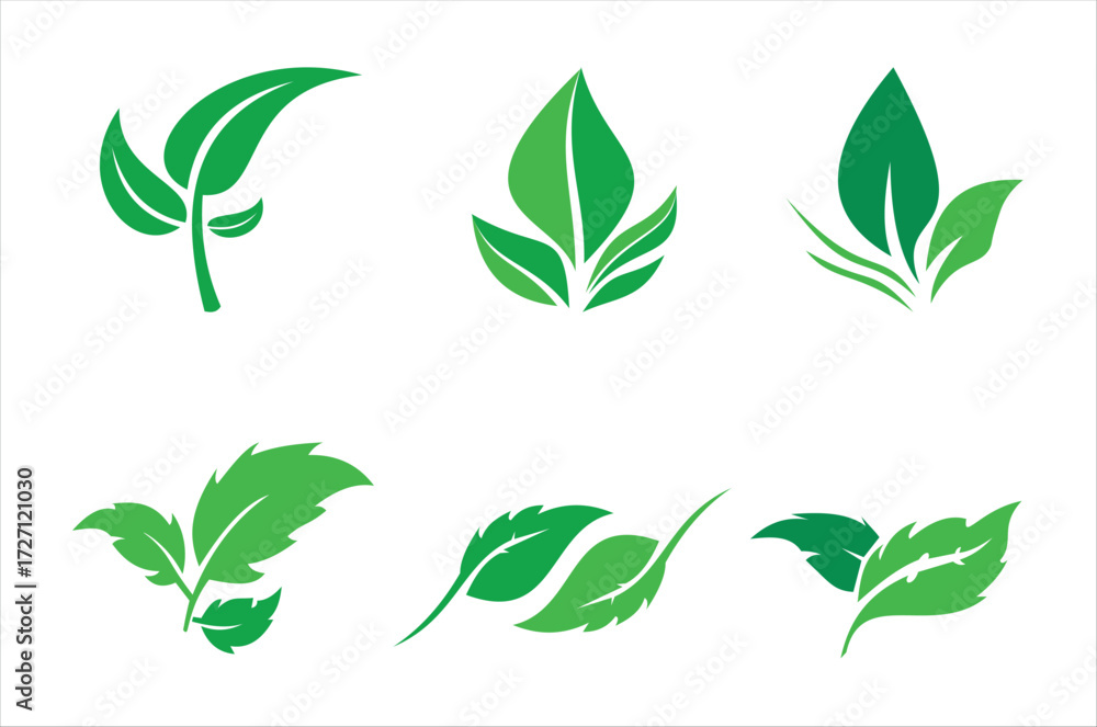 Naklejka premium example of a leaf