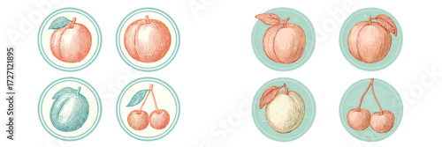 Colorful hand-drawn fruit illustrations featuring various types of apples, cherries, and plums on a light background