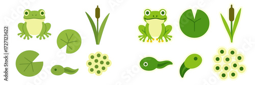 Colorful frog illustrations with lily pads, tadpoles, and aquatic plants in a playful design for nature-themed art
