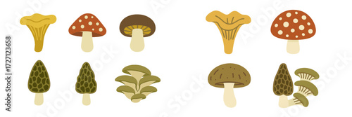 A colorful display of different types of mushrooms on a white background