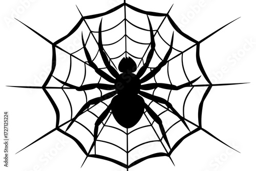 spider and web