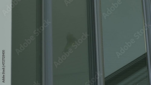 Modern facade detail with tinted glass panels and subtle reflection
