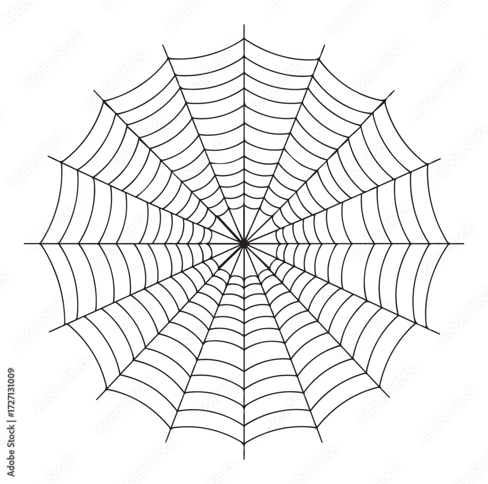 Obraz premium A symmetrical black and white line drawing of a classic circular spiderweb against a plain white background.