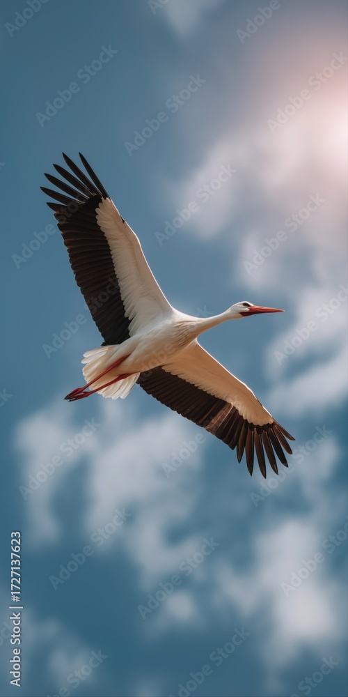 Obraz premium Soaring white stork against blue sky with sunlight