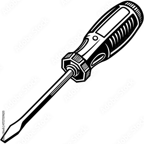 screwdriver and screw