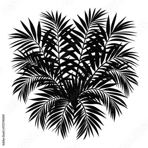 Palm Tree Leaves Silhouette Illustration Graphic Black and White Design on White Background