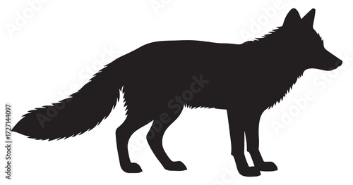 black and white silhouette vector red fox animal