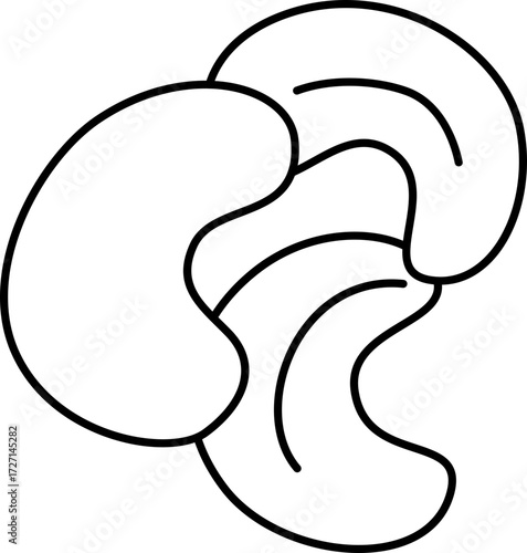 Nut Vector Illustration. Simple Outline Nuts Coloring Page