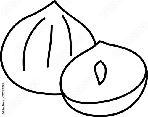 Nut Vector Illustration. Simple Outline Nuts Coloring Page