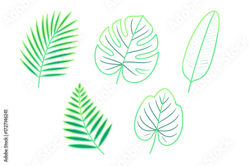 Vibrant green tropical foliage elements and exotic botanical plant leaves for natural design and summer themes