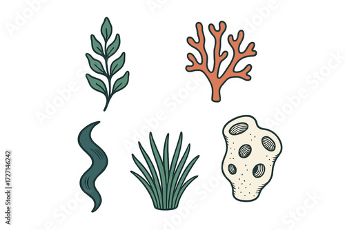 Stylized collection of marine plants, coral, and sea sponge elements for underwater and ocean life designs