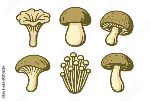 Diverse collection of edible and wild mushrooms featuring chanterelle, porcini, shiitake, and enoki fungi