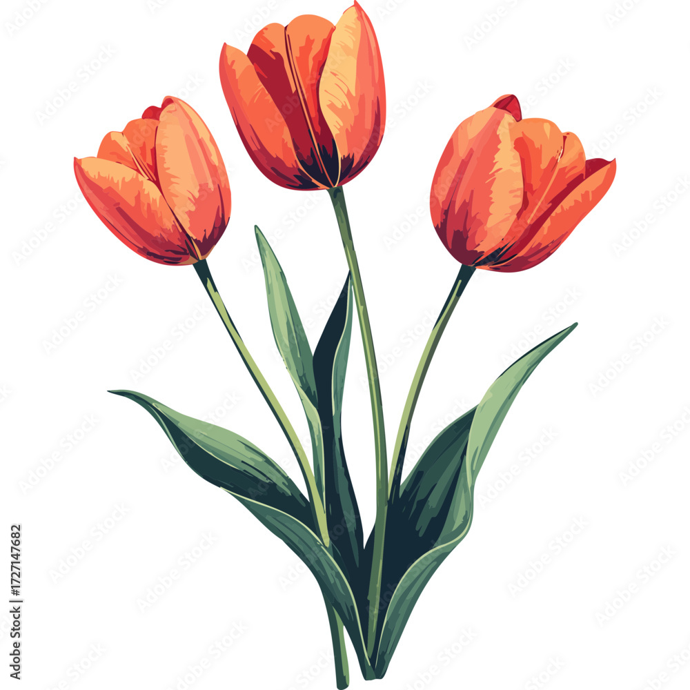 Fototapeta premium Hand Drawn Watercolor Tulip Flowers Illustration 