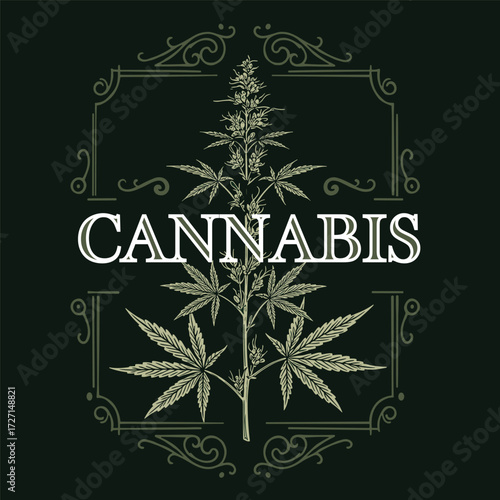 Cannabis leaf in Gradient Style Logo Design Template. Suitable for Medical, Cannabis Farm, CBD Oil, Weed, Marijuana, Hemp, Hashish, Ganja, Agriculture, Energy Drink, Business, Brand