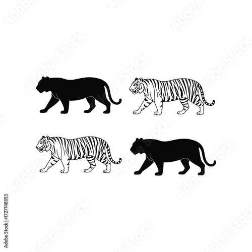 Tiger silhouette and striped tiger walking vector illustration set