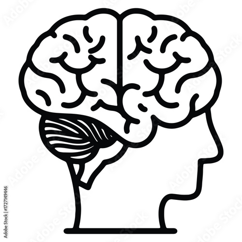 Human Brain Outline Vector Illustration for Medical or Educational Purposes