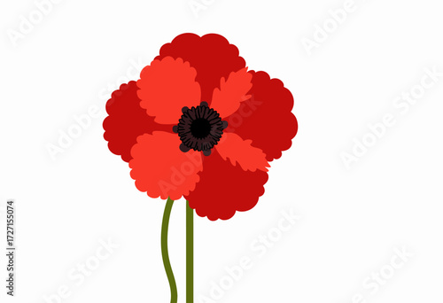 Illustration of a Vibrant Red Poppy Flower with a Black Center on a White Background