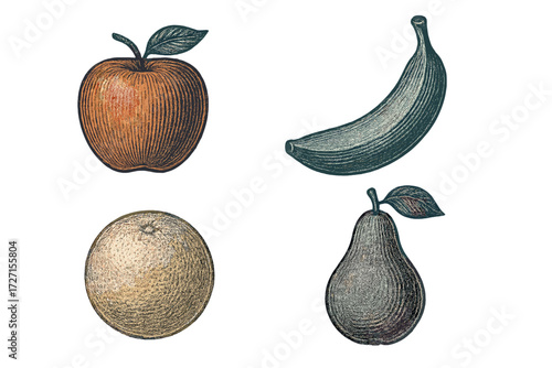 Assortment of vintage engraved style fruits including apple, banana, orange, and pear on a clean white background
