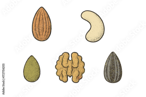 Collection of various healthy nuts and seeds including almond, cashew, walnut, pumpkin, and sunflower