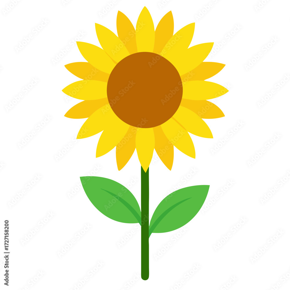 Fototapeta premium sunflower isolated on white