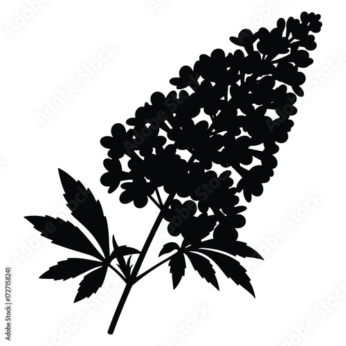Black and White Silhouette of Hydrangea Paniculata Flower with Leaves
