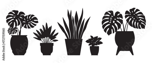 black and white silhouette vector set of houseplants