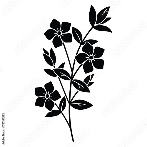 Elegant floral silhouette of periwinkle plant with delicate flowers and leaves