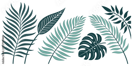 Tropical palm fronds bring a modern and vibrant botanical vibe to your creative project with a touch of exotic nature
