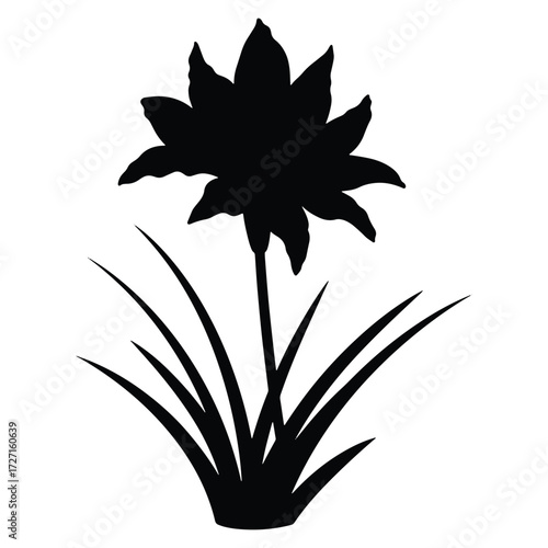 Elegant flower silhouette with leaves against white background for design needs